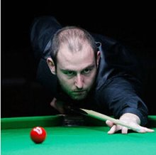 成绩背书 成绩背书